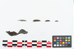 Foto von Bronzeknopf (NHMW-PRAE-026086)